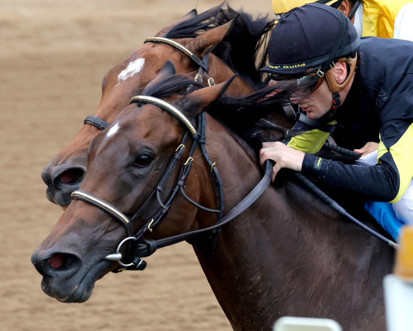 POSITANO SUNSET - The Open Mind - 16th Running - 09-13-25 - R09 - CD - Inside Finish 01 - Coady Media - Kurtis Coady Photography