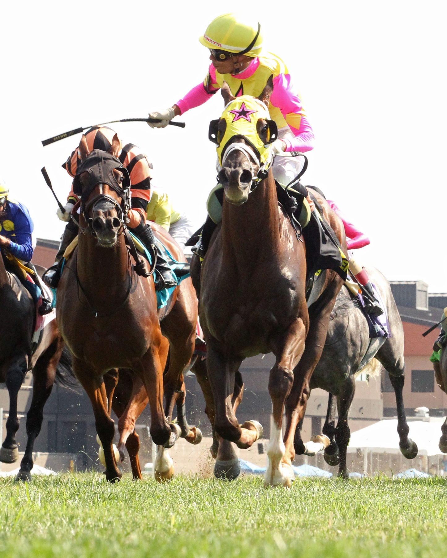 POSSIBLEMENTE - Kentucky Downs Turf Sprint G2 - 09-05-26 - R06 - KD - Under Rail 01