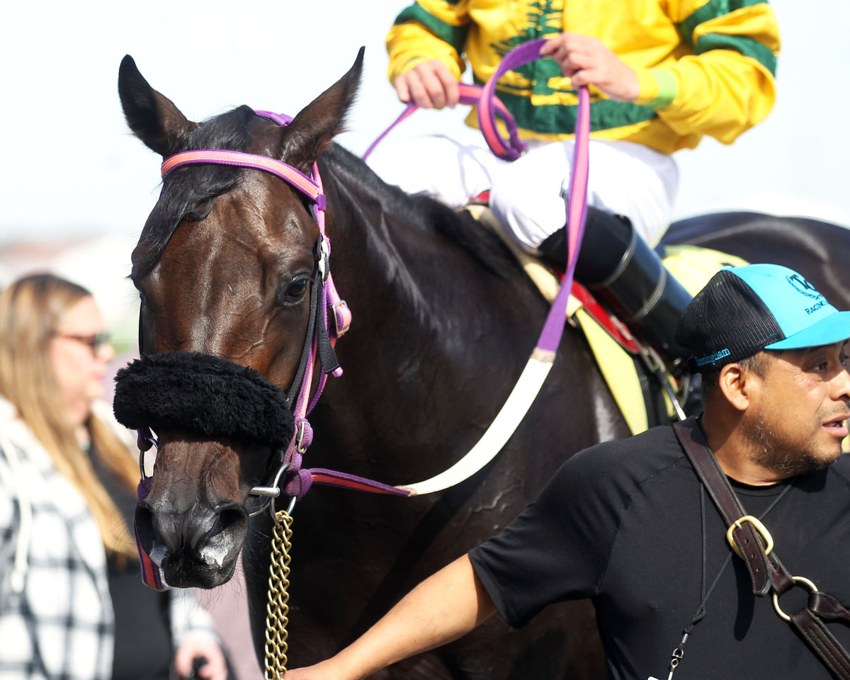 PRAYER FOR MUSIC - Indiana Stallion - 29th Running - 10-24-26 - R04 - Horseshoe Indiana - Comeback 01 - Casey Cable