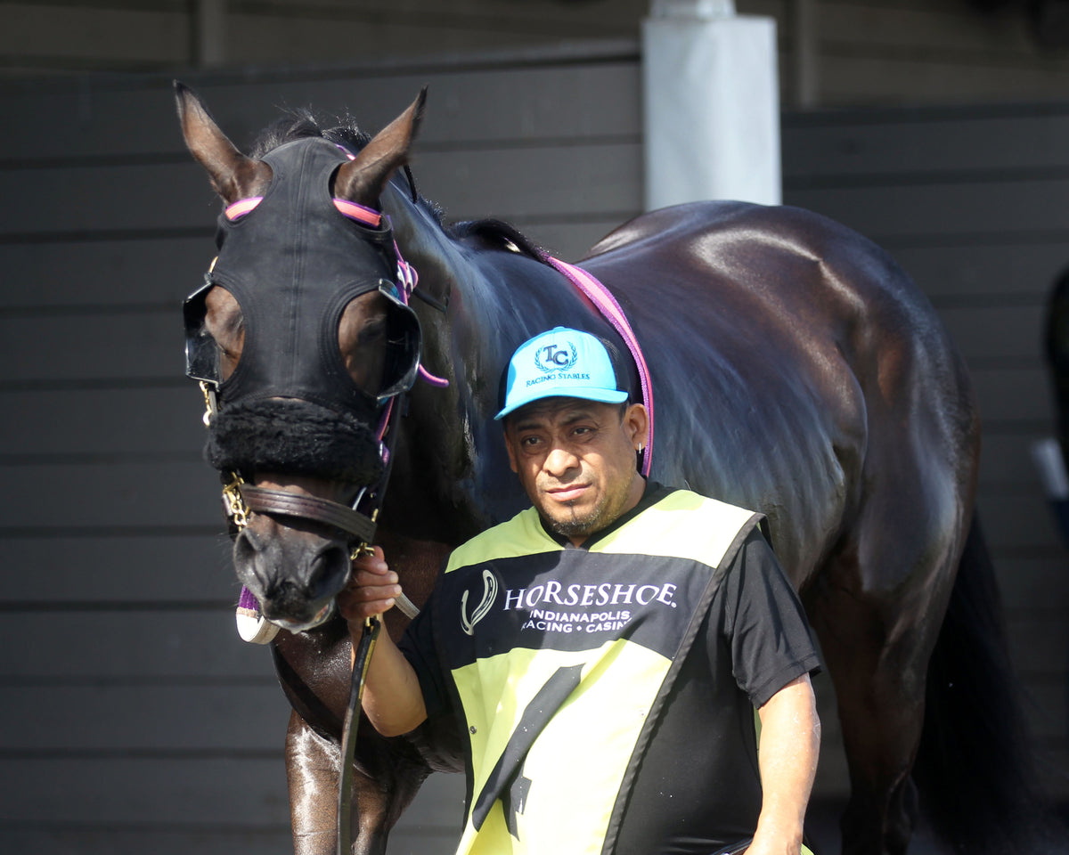PRAYER FOR MUSIC - Indiana Stallion - 29th Running - 10-24-26 - R04 - Horseshoe Indiana - Paddock 01 - Casey Cable