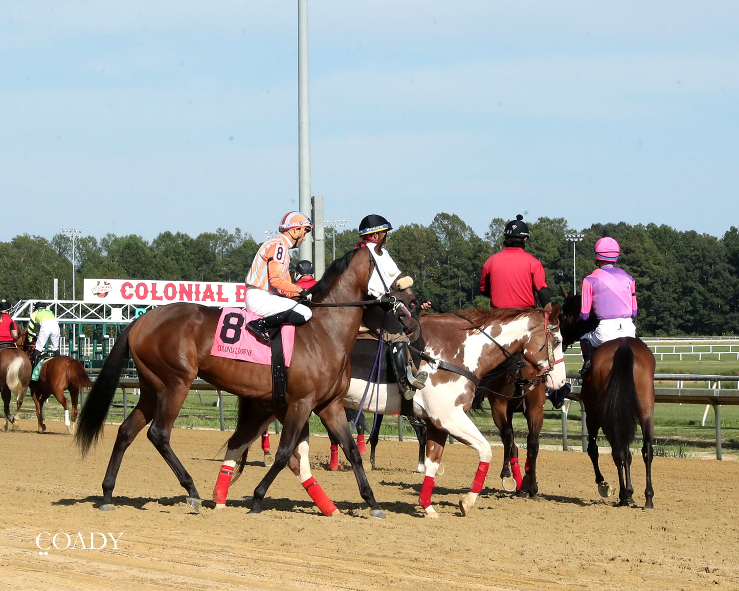 PUBLIC DEFENDER - The Nellie Mae Cox Handicap - 09-13-25 - CNL - Post Parade 01