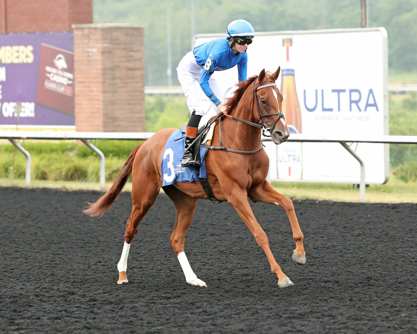 QUIET STREET - The Lady Erie Stakes - 07-20-26 - R07 - Presque Isle Downs - Post Parade