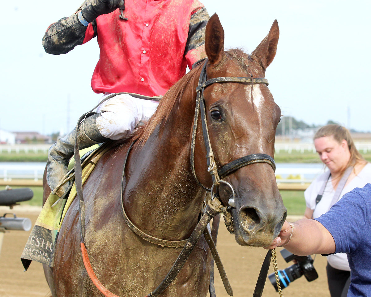 Q'S DISCO DANCER - Back Home Again - 26th Running - 09-30-26 - R04 - Horseshoe Indiana - Comeback 01 - Casey Cable