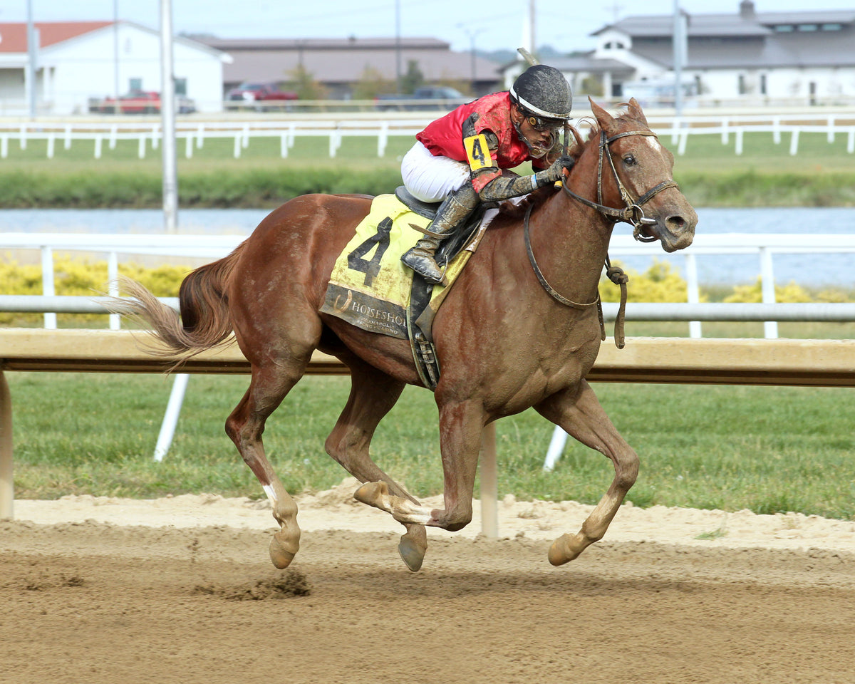 Q'S DISCO DANCER - Back Home Again - 26th Running - 09-30-26 - R04 - Horseshoe Indiana - Finish 02 - Casey Cable