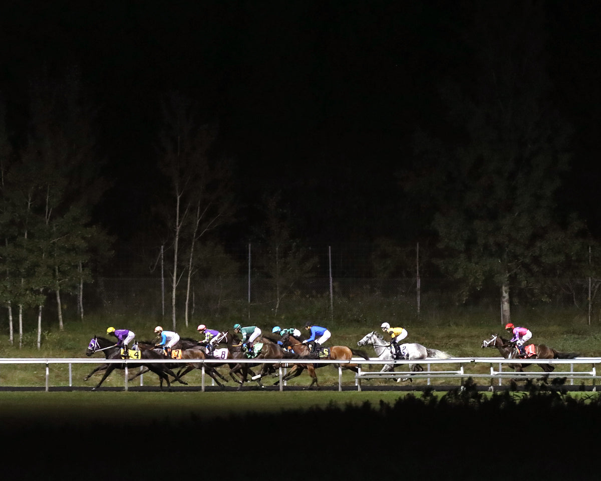 REAGAN'S FLAME - The Presque Isle Masters Stakes - G2 - 09-18-26 - R09 - PID - Backstretch