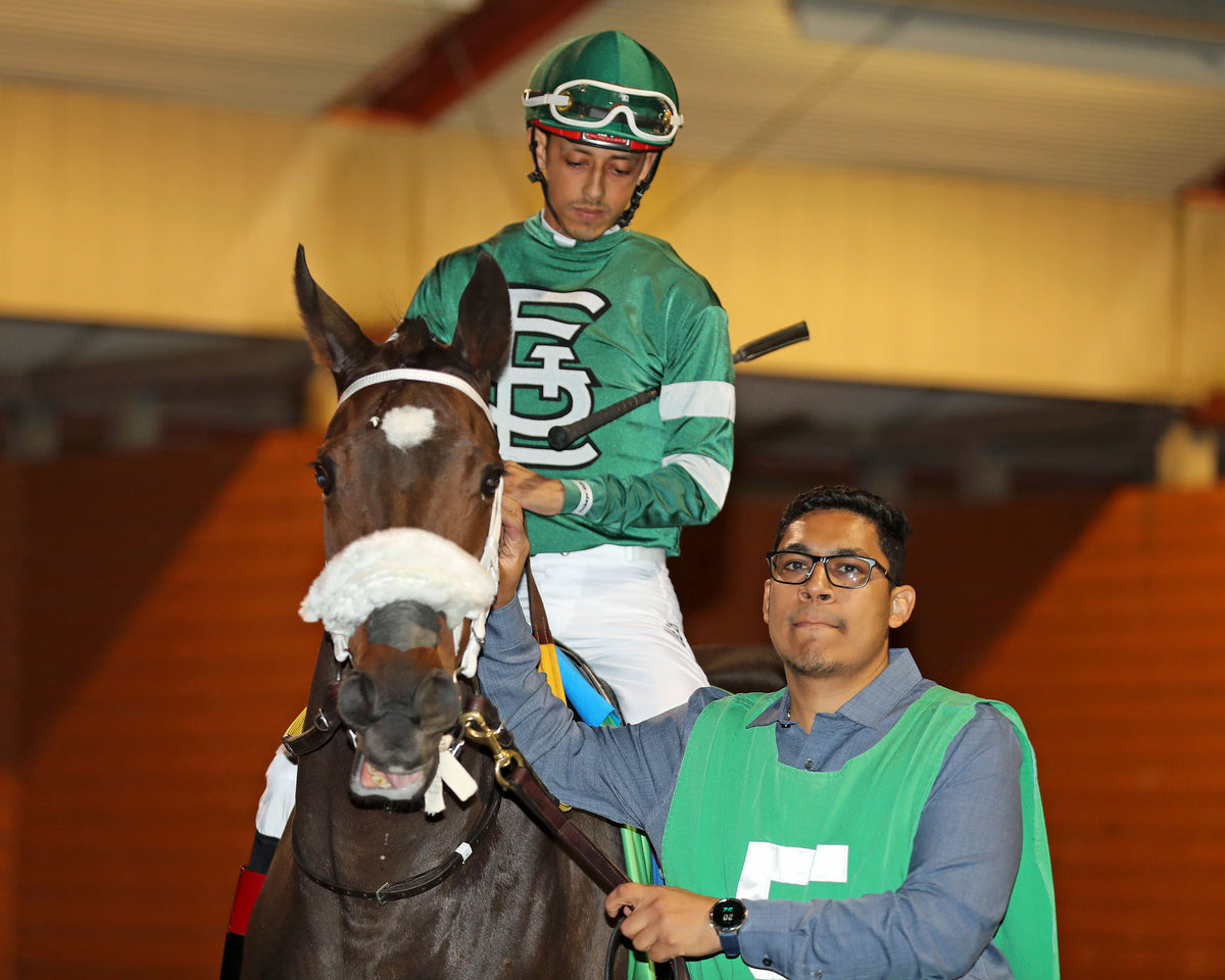 REAGAN'S FLAME - The Presque Isle Masters Stakes - G2 - 09-18-26 - R09 - PID - Paddock 03