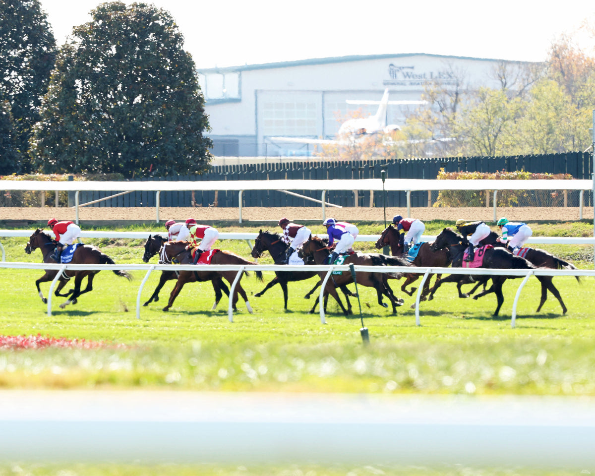 REAL GOODBAR - The Thoroughbred Aftercare Alliance - 10-30-26 - R03 - KEE - Back Stretch 01 - Coady Media - Kurtis Coady Photography