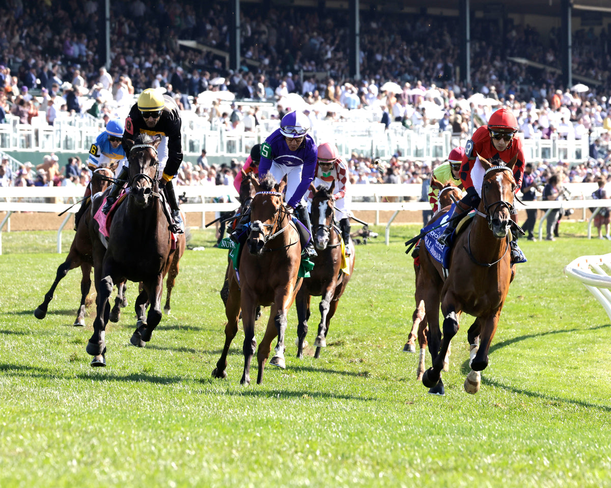 REAL GOODBAR - The Thoroughbred Aftercare Alliance - 10-30-26 - R03 - KEE - Gallop Out 03 - Coady Media - Kurtis Coady Photography