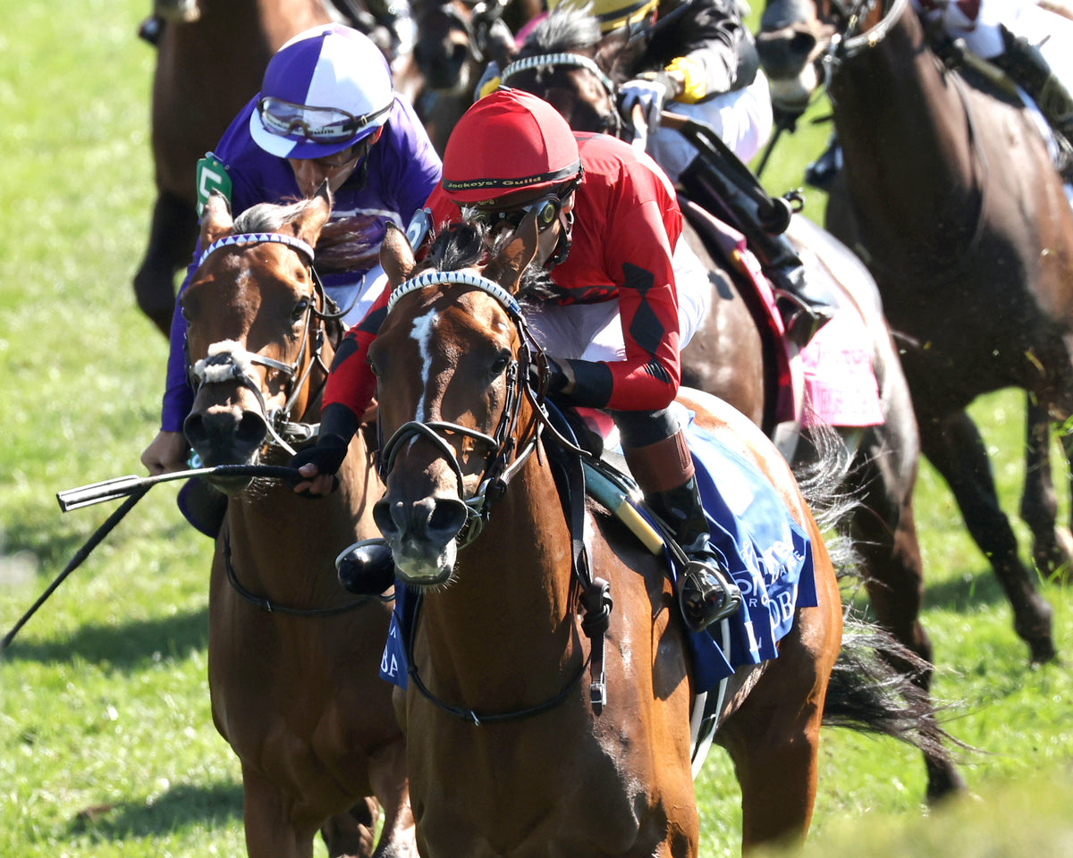 REAL GOODBAR - The Thoroughbred Aftercare Alliance - 10-30-26 - R03 - KEE - Inside Finish 01 - Coady Media - Kurtis Coady Photography
