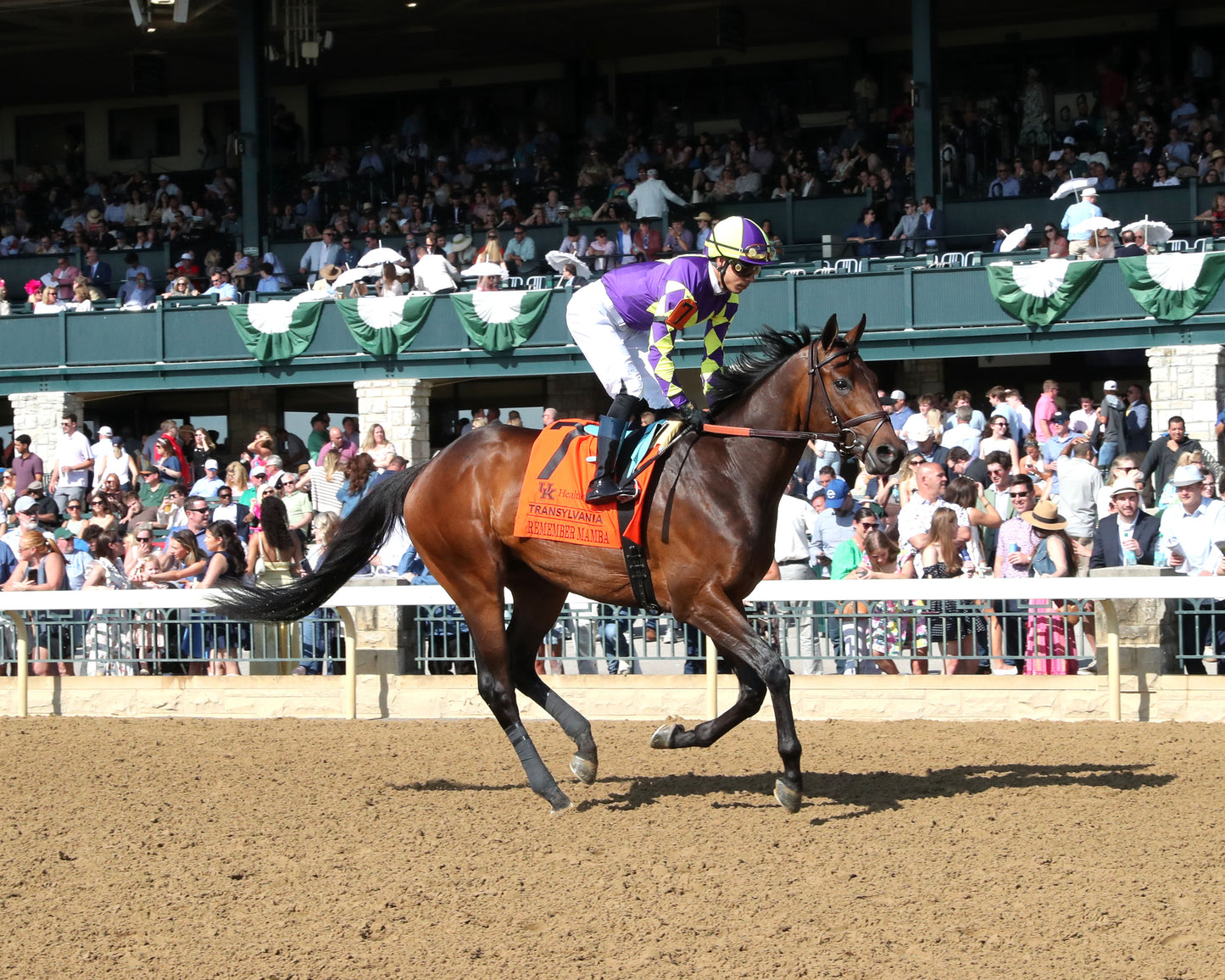 REMEMBER MAMBA - 040326 - Race 08 - KEE The UK HealthCare Transylvania G3 - Post Parade 01 - Coady Media - Kurtis Coady Photography