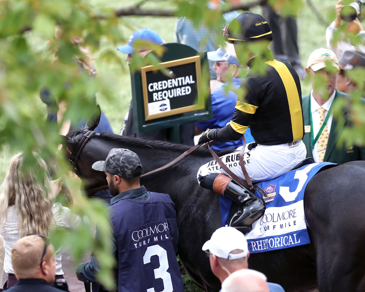 RHETORICAL - 100326 - Race 10 - KEE The Coolmore Turf Mile G1 - Come Back 02