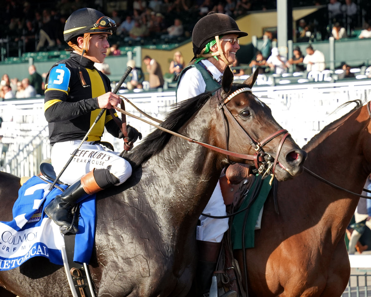 RHETORICAL - 100326 - Race 10 - KEE The Coolmore Turf Mile G1 - Come Back 04
