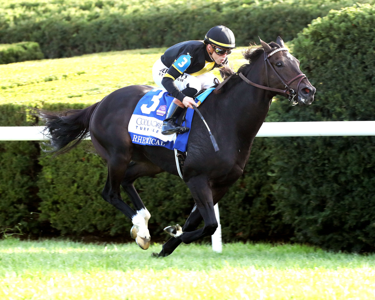 RHETORICAL - 100326 - Race 10 - KEE The Coolmore Turf Mile G1 - Finish 02