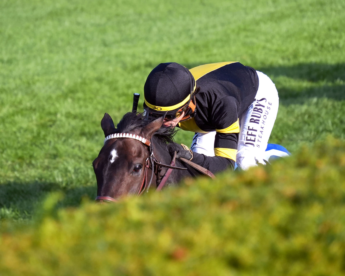 RHETORICAL - 100326 - Race 10 - KEE The Coolmore Turf Mile G1 - Finish Inside01