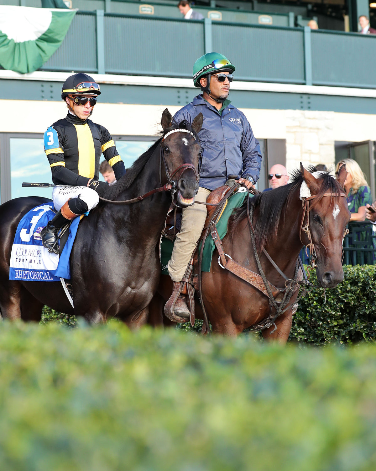 RHETORICAL - 100326 - Race 10 - KEE The Coolmore Turf Mile G1 -Post Parade 03
