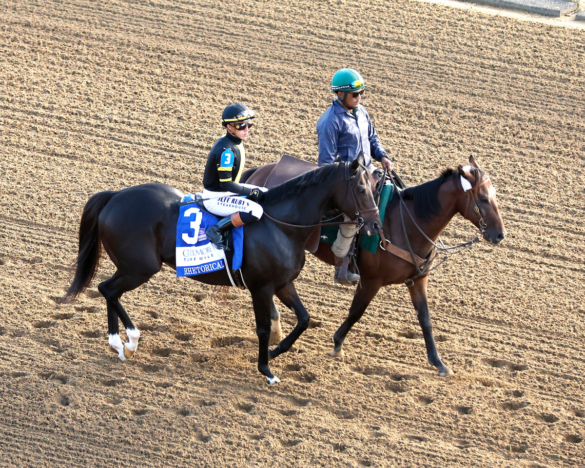 RHETORICAL - 100326 - Race 10 - KEE The Coolmore Turf Mile G1 -Post Parade 05