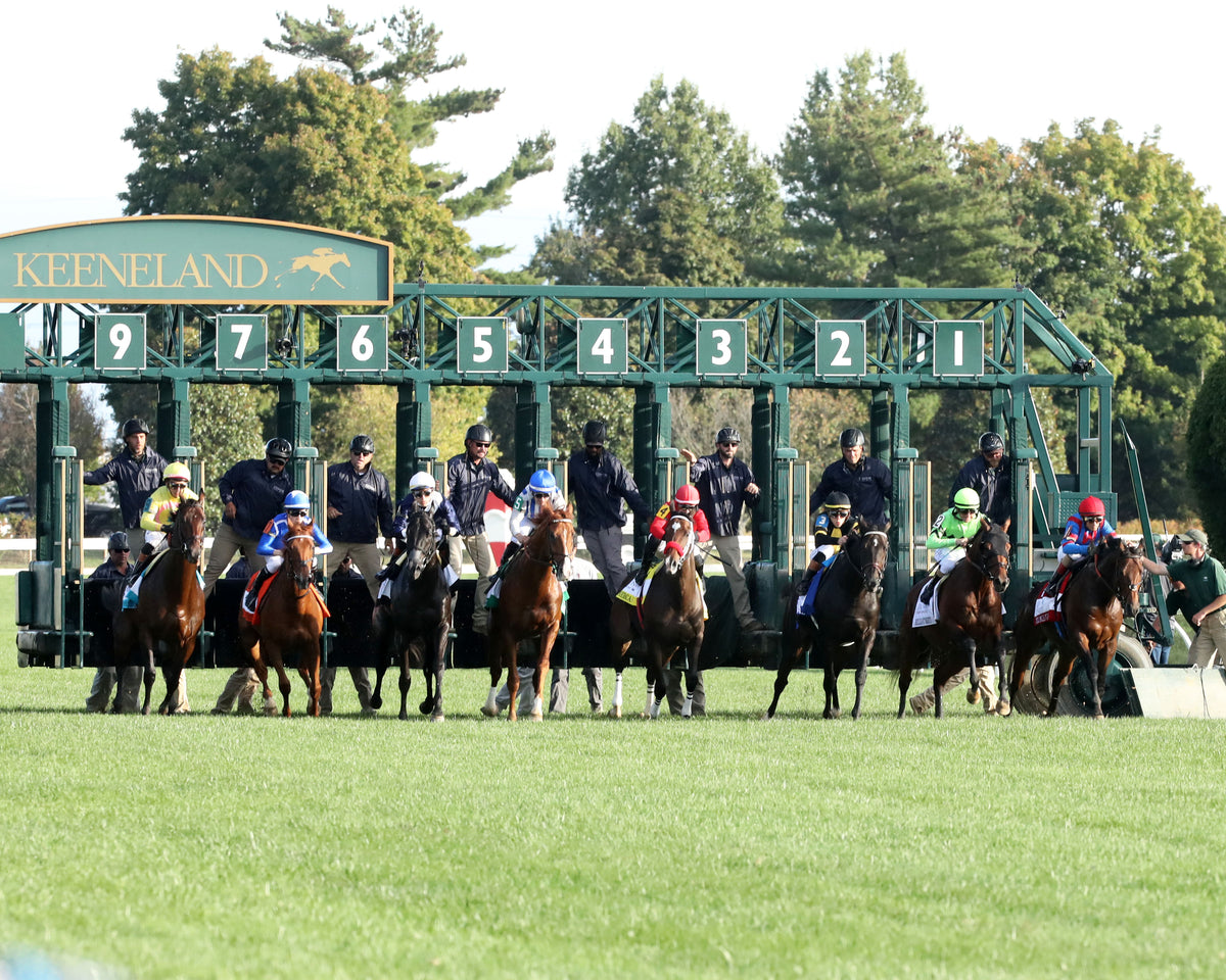RHETORICAL - 100326 - Race 10 - KEE The Coolmore Turf Mile G1 - Start 01