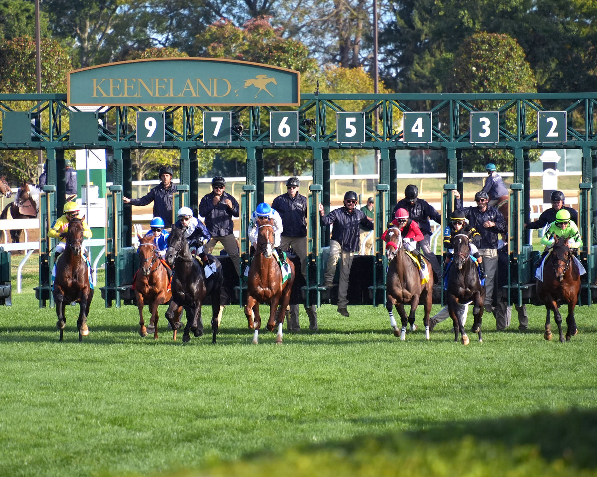 RHETORICAL - 100326 - Race 10 - KEE The Coolmore Turf Mile G1 - Start 02