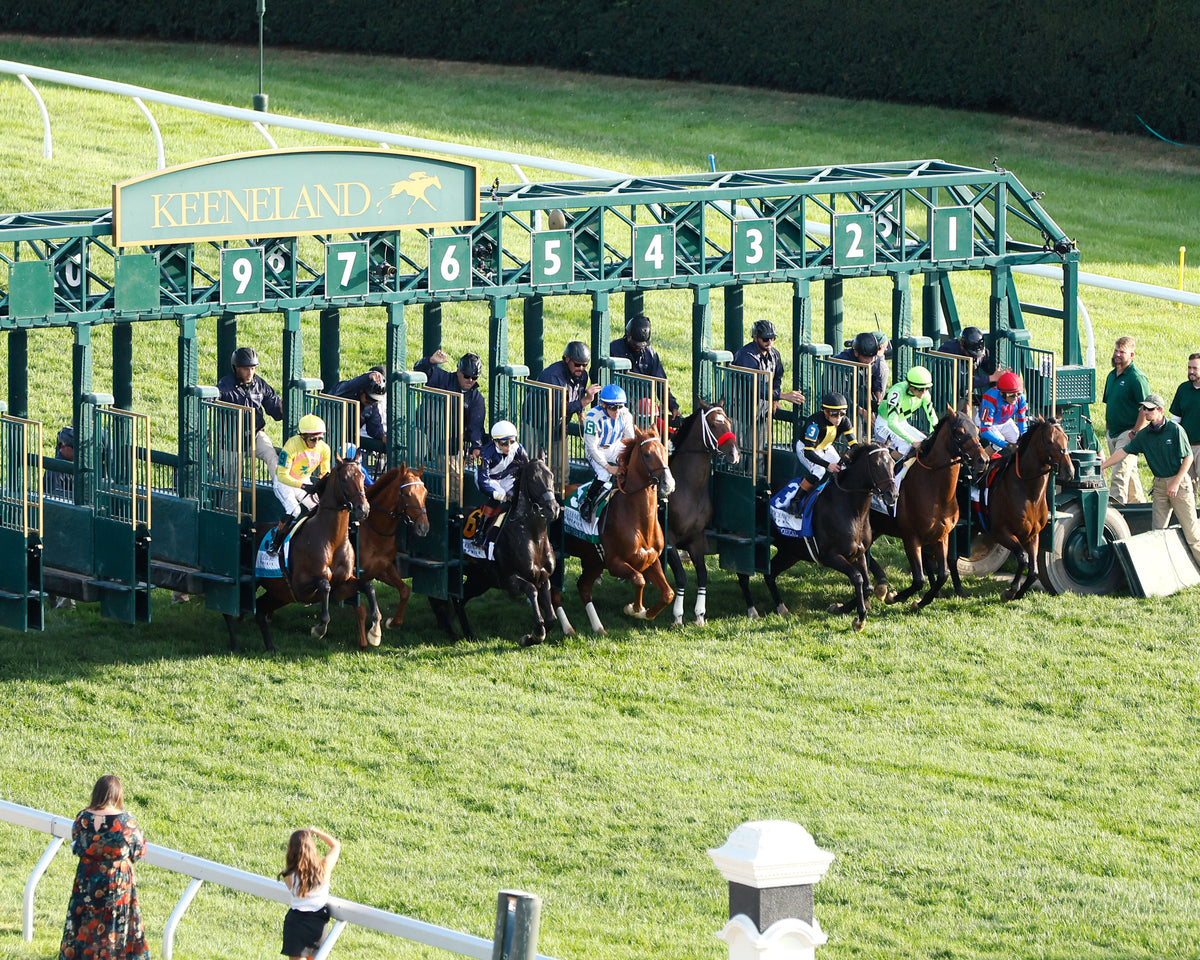 RHETORICAL - 100326 - Race 10 - KEE The Coolmore Turf Mile G1 - Start 04
