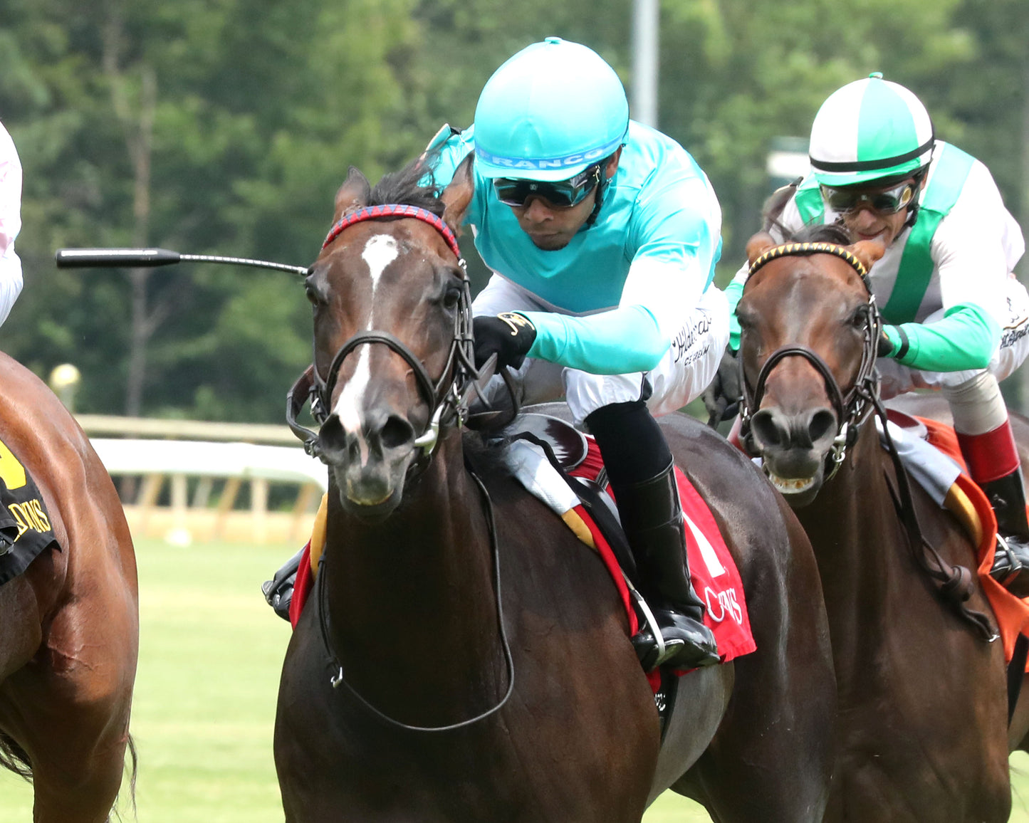 ROJA - The Andy Guest Stakes - 08-01-26 - R04 - CNL - Inside Finish 03