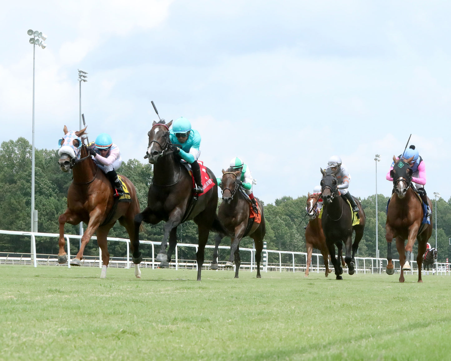 ROJA - The Andy Guest Stakes - 08-01-26 - R04 - CNL - Under Rail 01