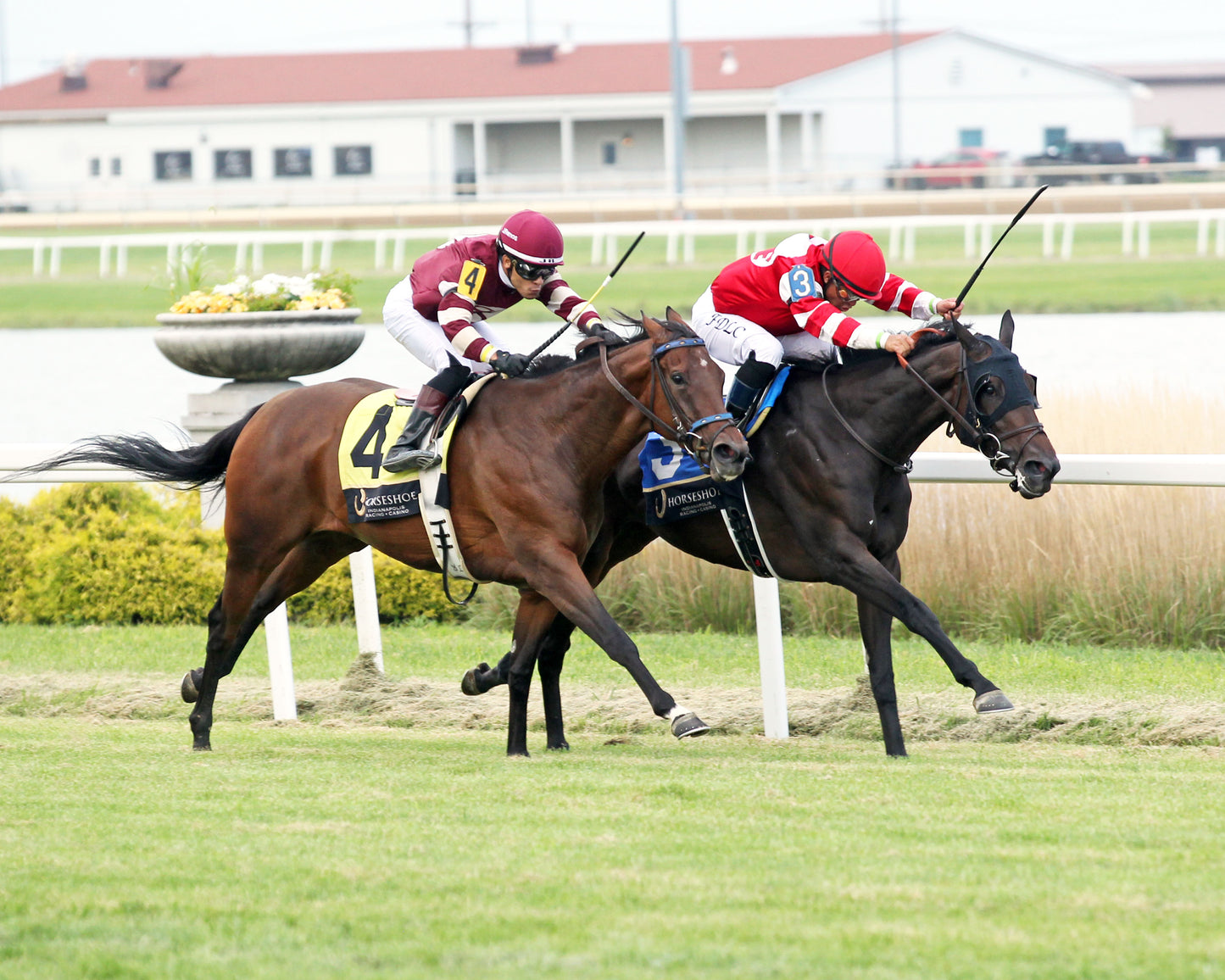 ROYAL JUSTICE - The Peony - 23rd Running - 08-26-26 - R08 - Horseshoe Indiana - Finish 02 - Casey Cable