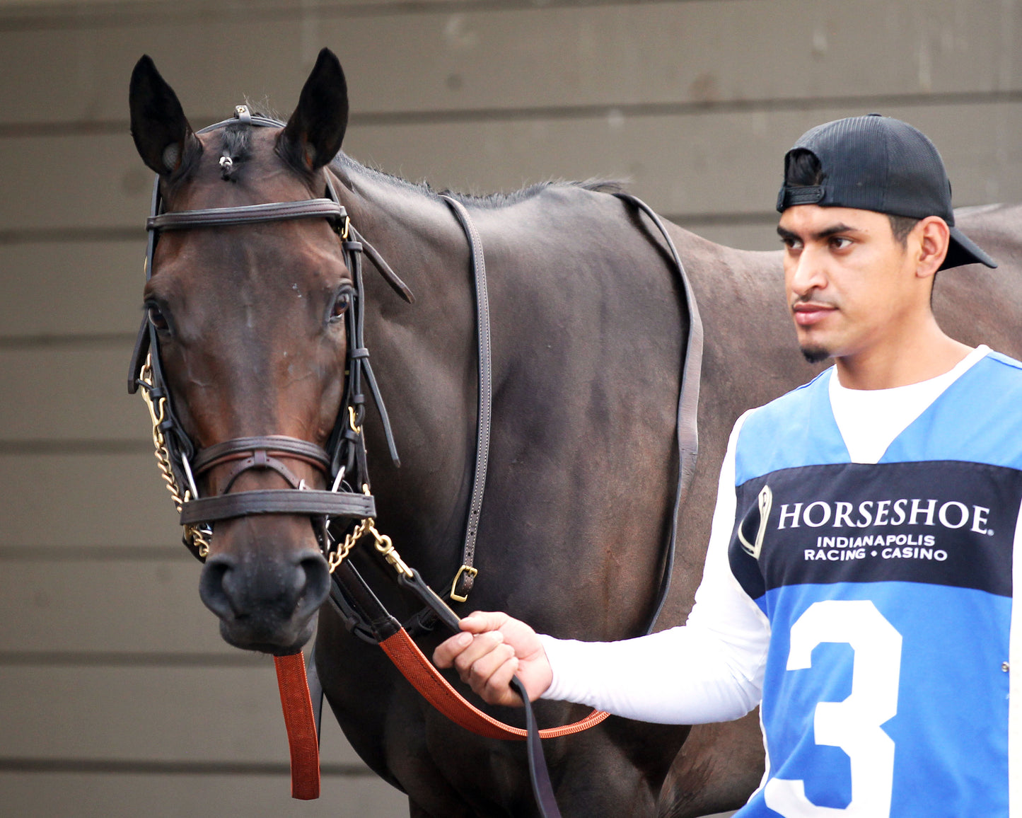 ROYAL JUSTICE - The Peony - 23rd Running - 08-26-26 - R08 - Horseshoe Indiana - Paddock 01 - Casey Cable