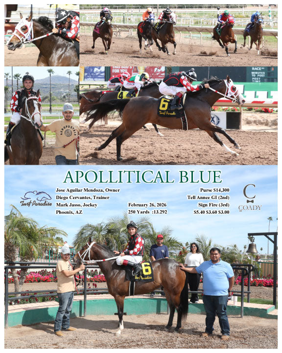 APOLLITICAL BLUE - 02-26-26 - R01 - TUP - Coady Media - Kurtis Coady Photography