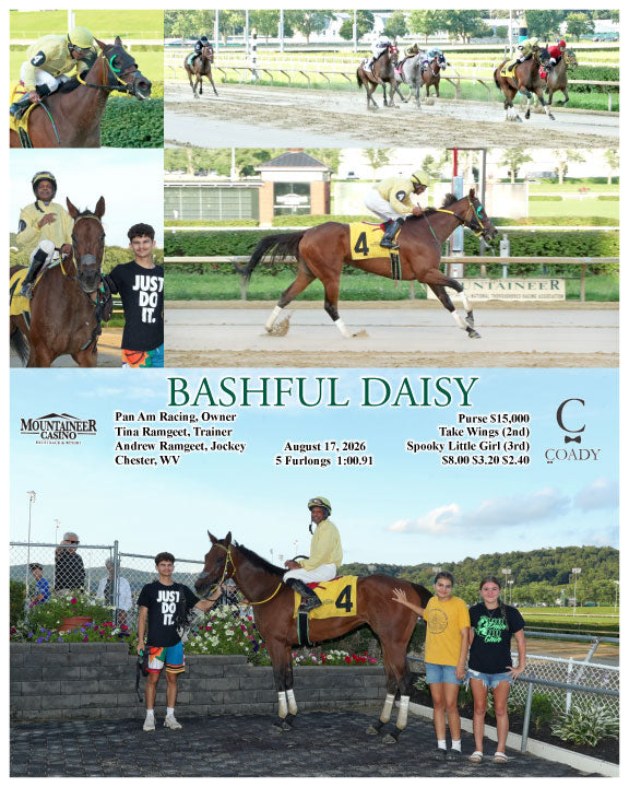 BASHFUL DAISY - 08-17-26 - R01 - MNR