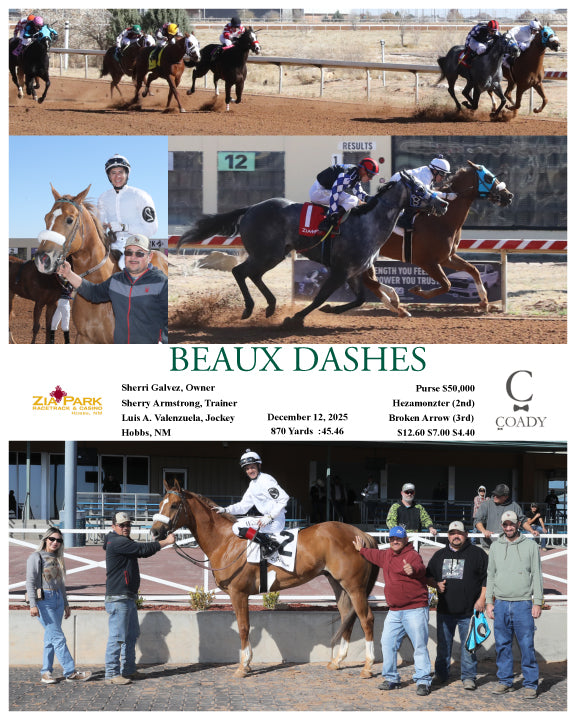 BEAUX DASHES - 12-12-25 - R01 - ZIA