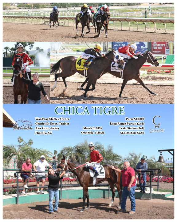 CHICA TIGRE - 03-03-26 - R01 - TUP - Coady Media - Kurtis Coady Photography