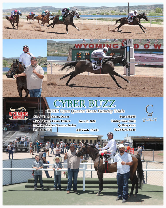 CYBER BUZZ - 307HR Open Quarter Horse Futurity Trials - 06-13-26 - R01 - WYO