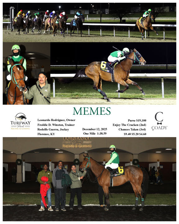 MEMES - 12-12-25 - R01 - TP