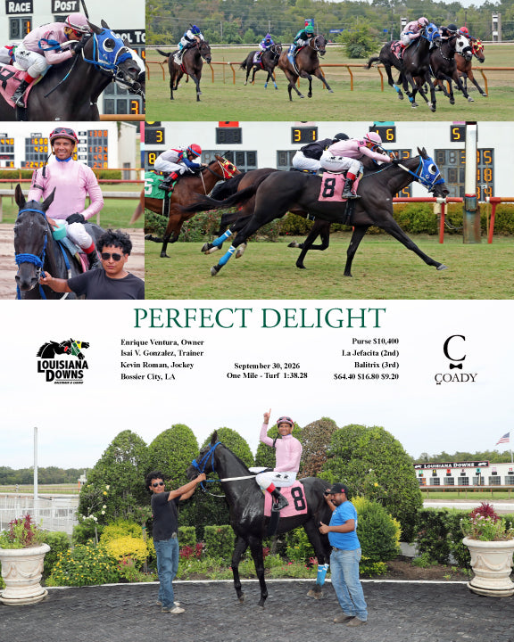 PERFECT DELIGHT - 09-30-26 - R01 - LAD