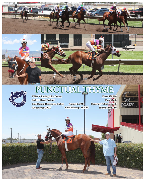 PUNCTUAL THYME - 08-02-26 - R01 - RUI