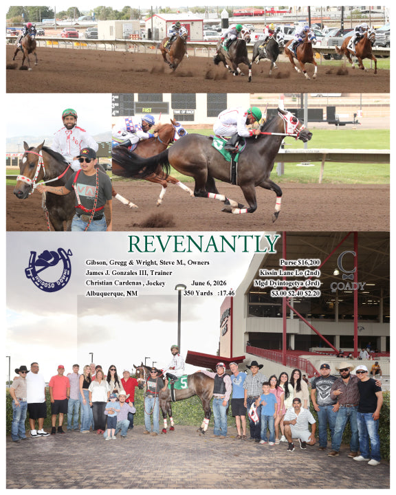 REVENANTLY - 06-06-26 - R01 - RUI