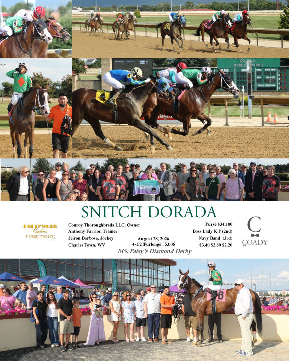 SNITCH DORADA - 08-28-26 - R01 - CT