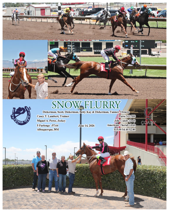 SNOW FLURRY - 06-14-26 - R01 - RUI