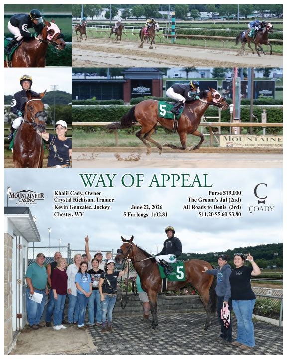 WAY OF APPEAL - 06-22-26 - R01 - MNR