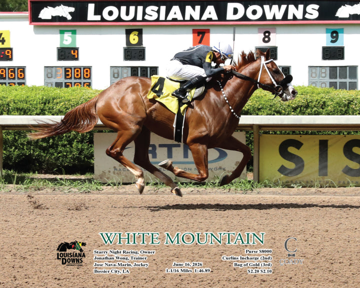 WHITE MOUNTAIN - 06-16-26 - R01 - LAD