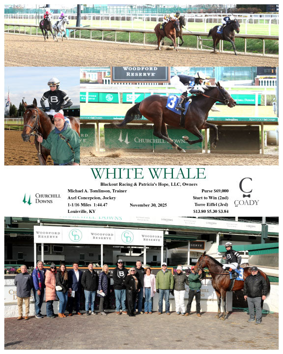 WHITE WHALE - 11-30-25 - R01 - CD