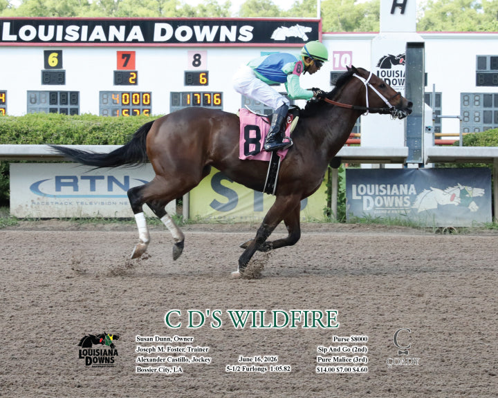 C D'S WILDFIRE - 06-16-26 - R02 - LAD