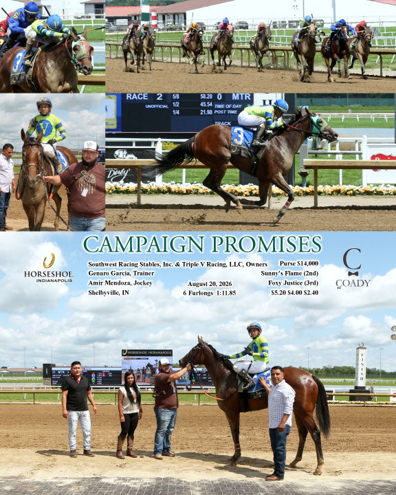 CAMPAIGN PROMISES - 08-20-26 - R02 - IND