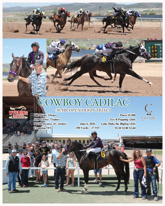 COWBOY CADILAC - 307HR OPEN DERBY TRIALS - 06-06-26 - R02 - WYO