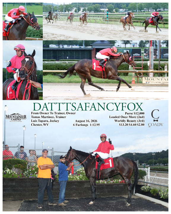 DATTTSAFANCYFOX - 08-16-26 - R02 - MNR