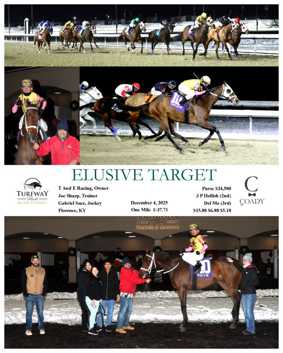 ELUSIVE TARGET - 12-04-25 - R02 - TP