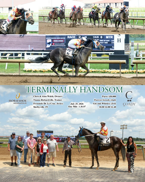 TERMINALLY HANDSOM - 07-29-26 - R02 - IND