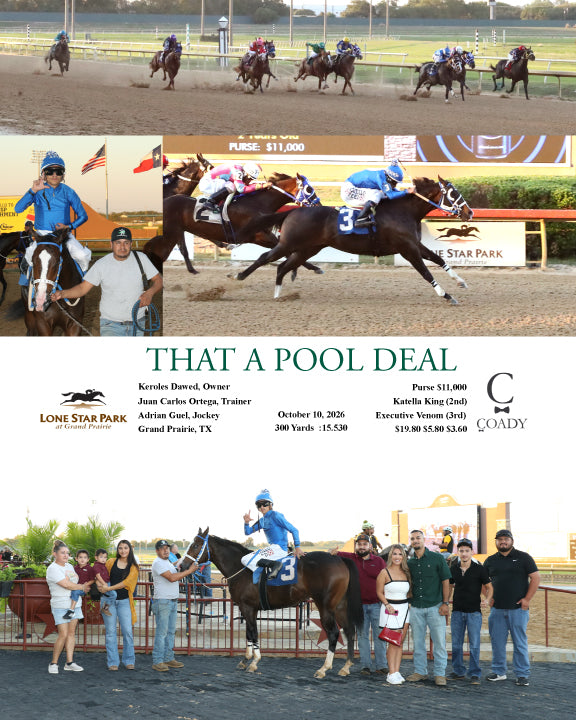 Race 02 THAT A POOL DEAL 101026 Lone Star Park