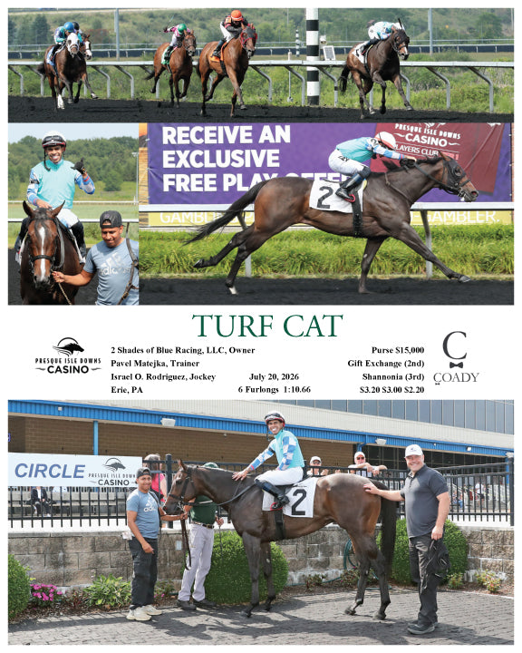 TURF CAT - 07-20-26 - R02 - PID