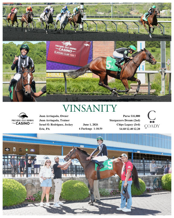 VINSANITY - 06-01-26 - R02 - PID